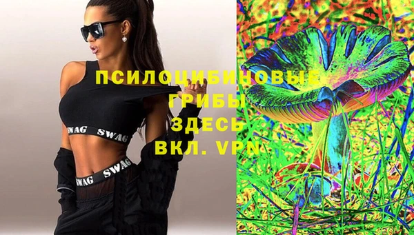 гидропоника Медвежьегорск