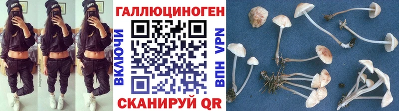 дарнет шоп  mega маркетплейс  Галлюциногенные грибы Cubensis  Невельск 