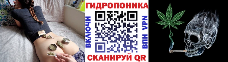 Шишки марихуана Bruce Banner  Невельск 